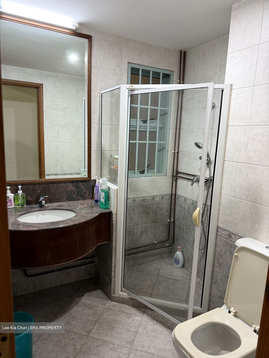 Faber Crest (D5), Condominium #573582721